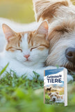 Buch Entspannte Tiere mit schlafendem Hund und Katze