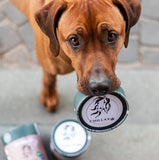 Auch für Hunde - Chillax-Produkt: Pferdekekse mit 20.0 mg CBD pro Keks - Photo credit: @ridgeback.king