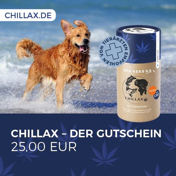Chillax Gutschein 25,00 €