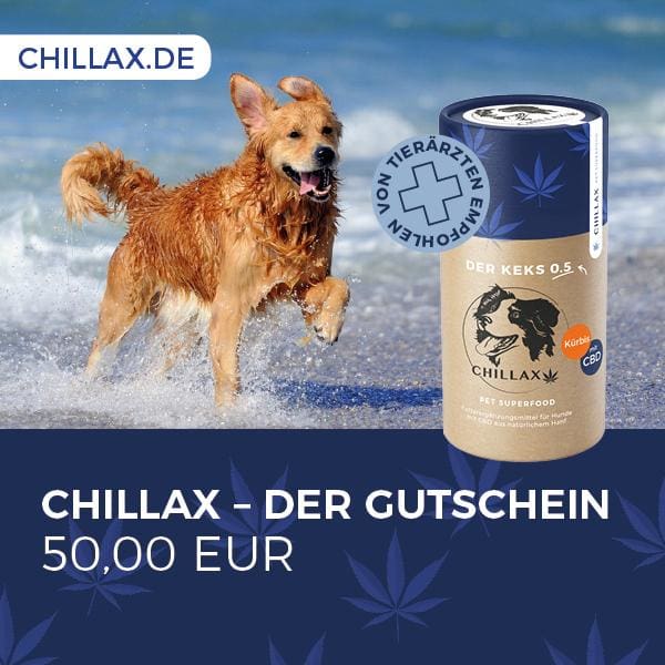 Chillax Gutschein 50,00 €